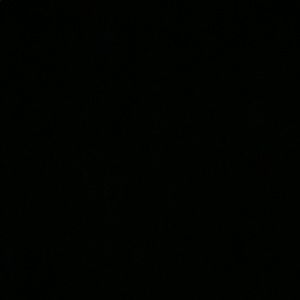 Meet your Posher, Carly